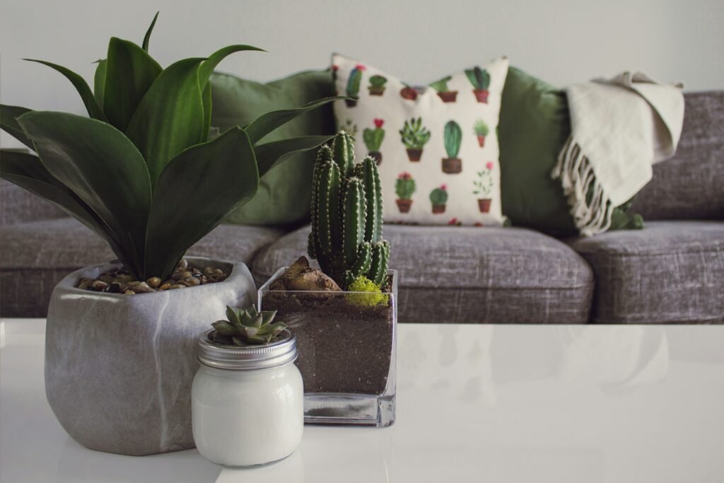 10 Reasons Why You Should Have Plants in Your Room 4 kii