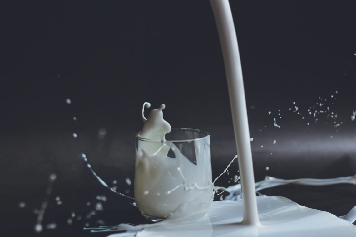 anita jankovic c7PT4PZMcNA unsplash