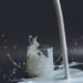 anita jankovic c7PT4PZMcNA unsplash
