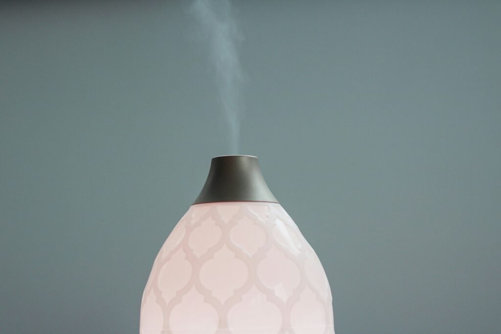 Having A Humidifier At Home: Benefits, Tips And Drawbacks 6 felicia buitenwerf 8xFgmFnOnAg unsplash