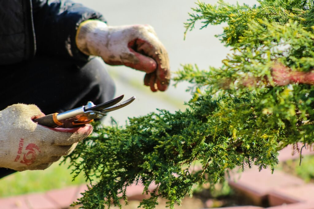 12 Health Benefits of Gardening 3 crystal jo PKcTuA CRAo unsplash