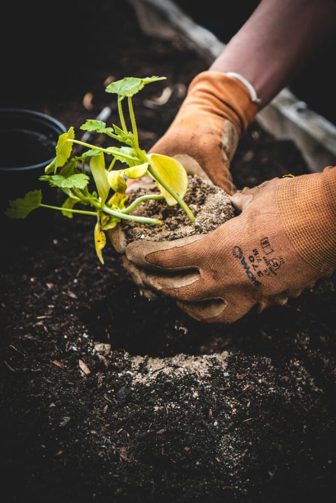 12 Health Benefits of Gardening 5 jonathan kemper CbZh3kaPxrE unsplash