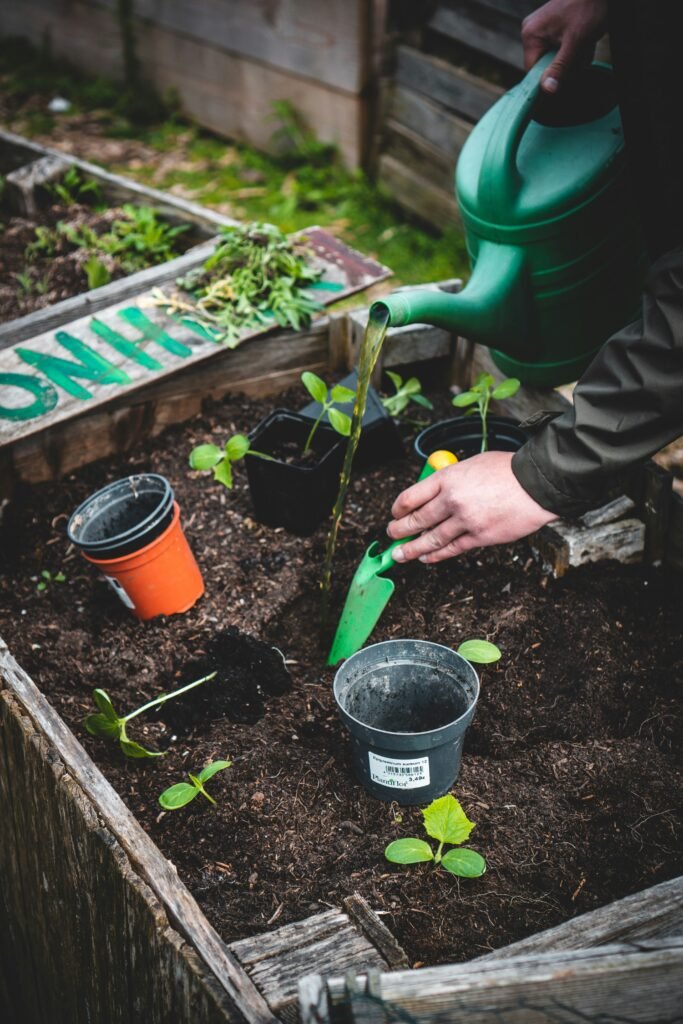 12 Health Benefits of Gardening 6 jonathan kemper VTXw4 5SsNA unsplash