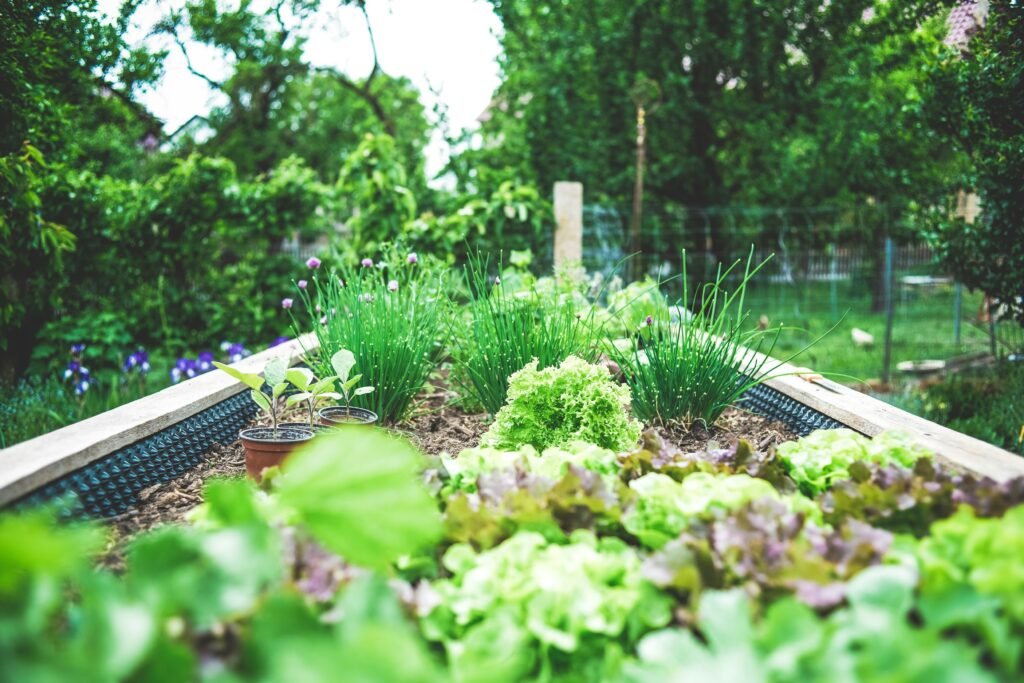 12 Health Benefits of Gardening 2 markus spiske bk11wZwb9F4 unsplash