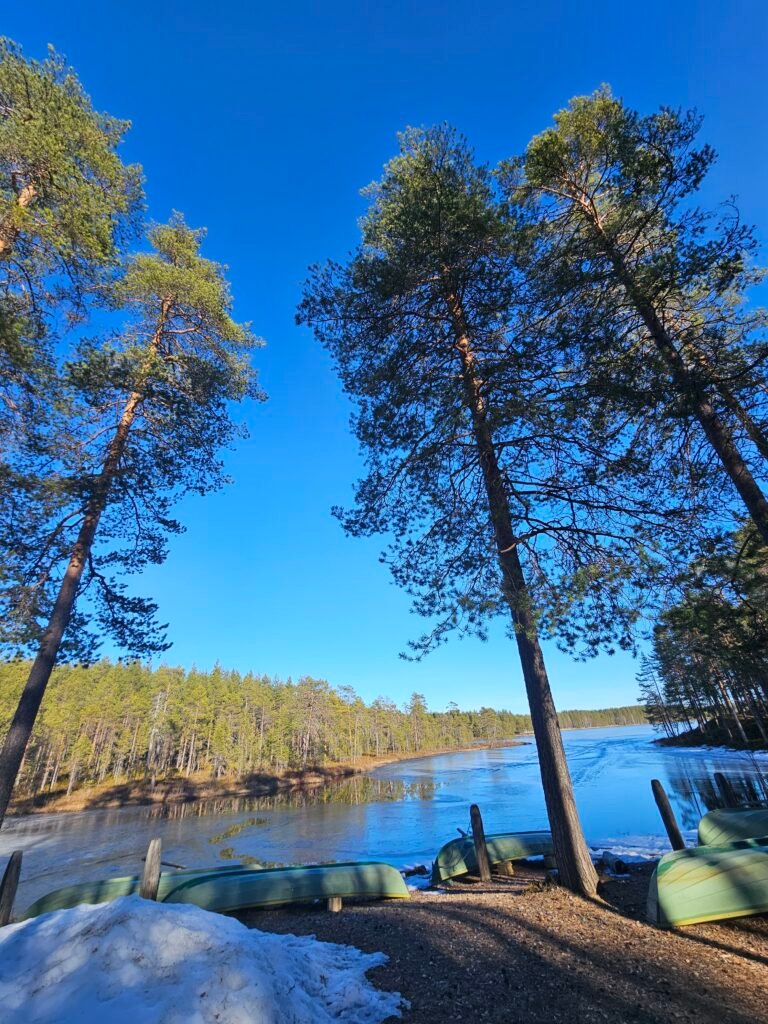 Places to Visit in Kuhmo: Exploring Syväjärvi Through the Seasons 8 20260411 165733