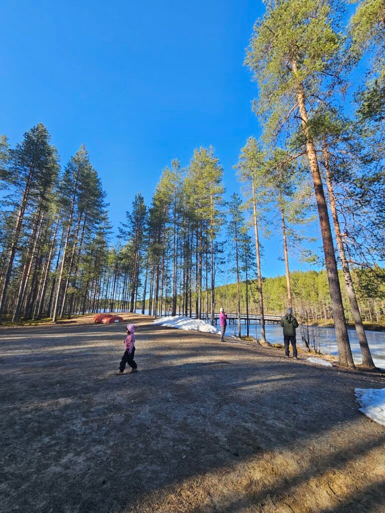 Places to Visit in Kuhmo: Exploring Syväjärvi Through the Seasons 20 20260411 165735