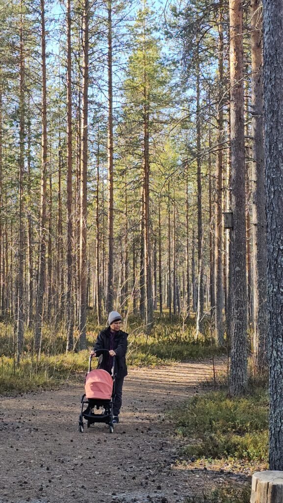 Places to Visit in Kuhmo: Exploring Syväjärvi Through the Seasons 21 20260411 173335