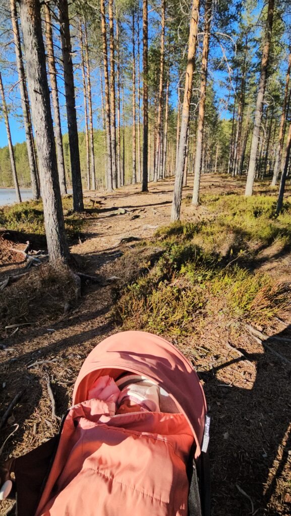 Places to Visit in Kuhmo: Exploring Syväjärvi Through the Seasons 22 20260411 173829
