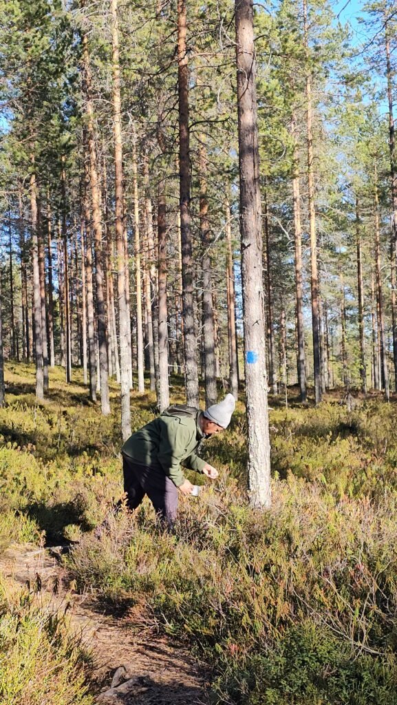 Places to Visit in Kuhmo: Exploring Syväjärvi Through the Seasons 24 20260411 173901