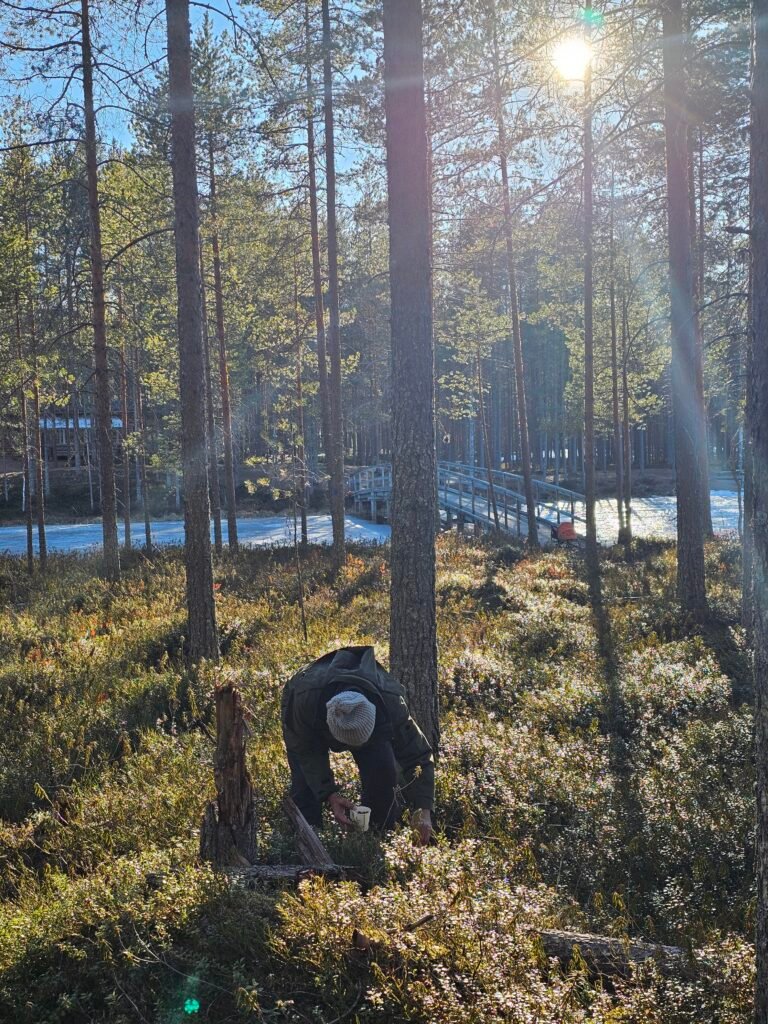 Places to Visit in Kuhmo: Exploring Syväjärvi Through the Seasons 25 20260411 175219