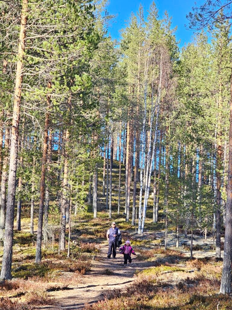 Places to Visit in Kuhmo: Exploring Syväjärvi Through the Seasons 26 20260411 175842