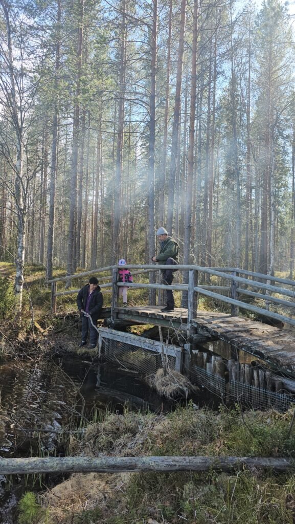 Places to Visit in Kuhmo: Exploring Syväjärvi Through the Seasons 31 20260501 141807