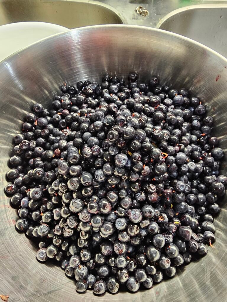 Simple Blueberry Cheesecake Recipe 10 20260815 190934