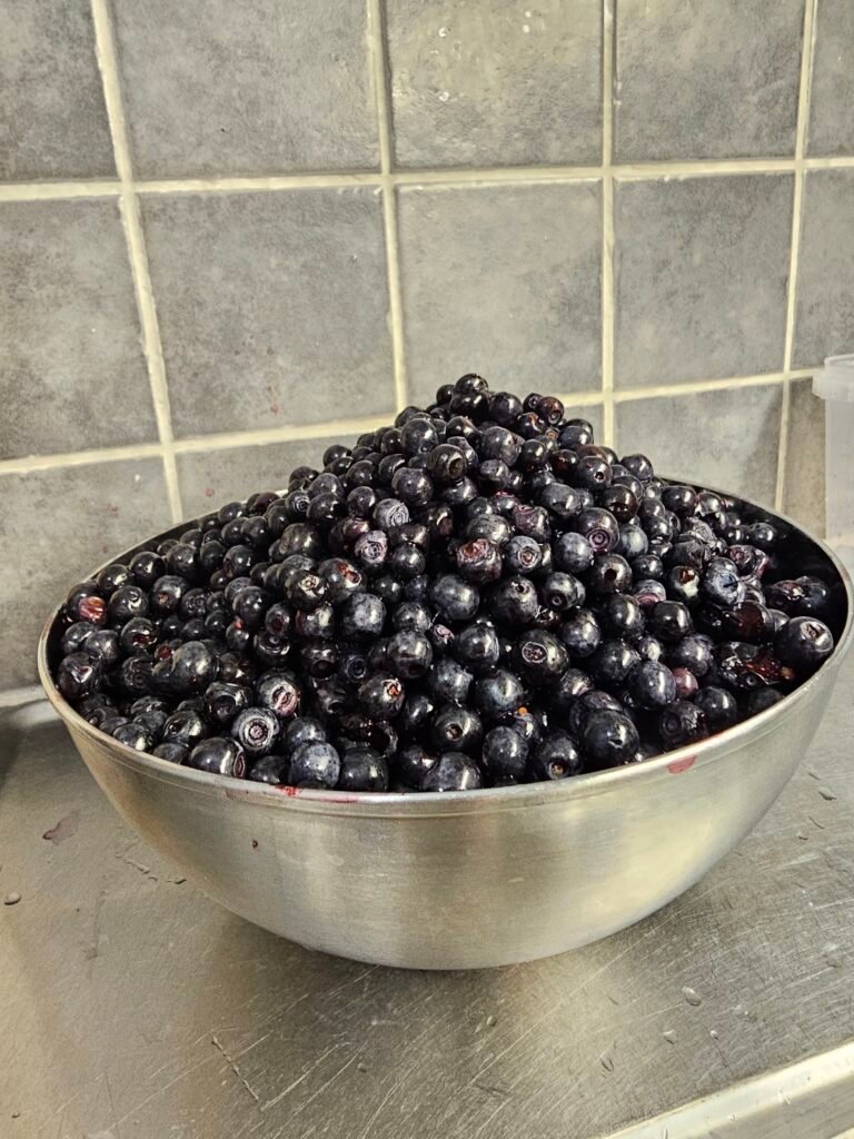 Simple Blueberry Cheesecake Recipe 8 20260815 204430