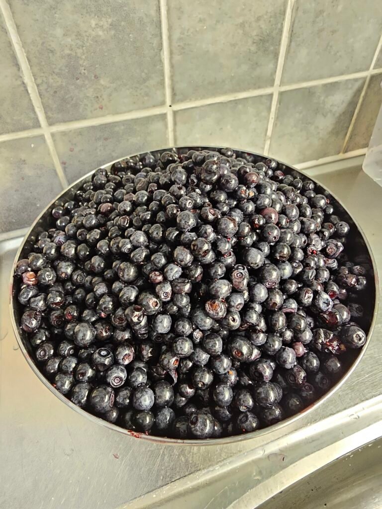 Simple Blueberry Cheesecake Recipe 9 20260815 204437