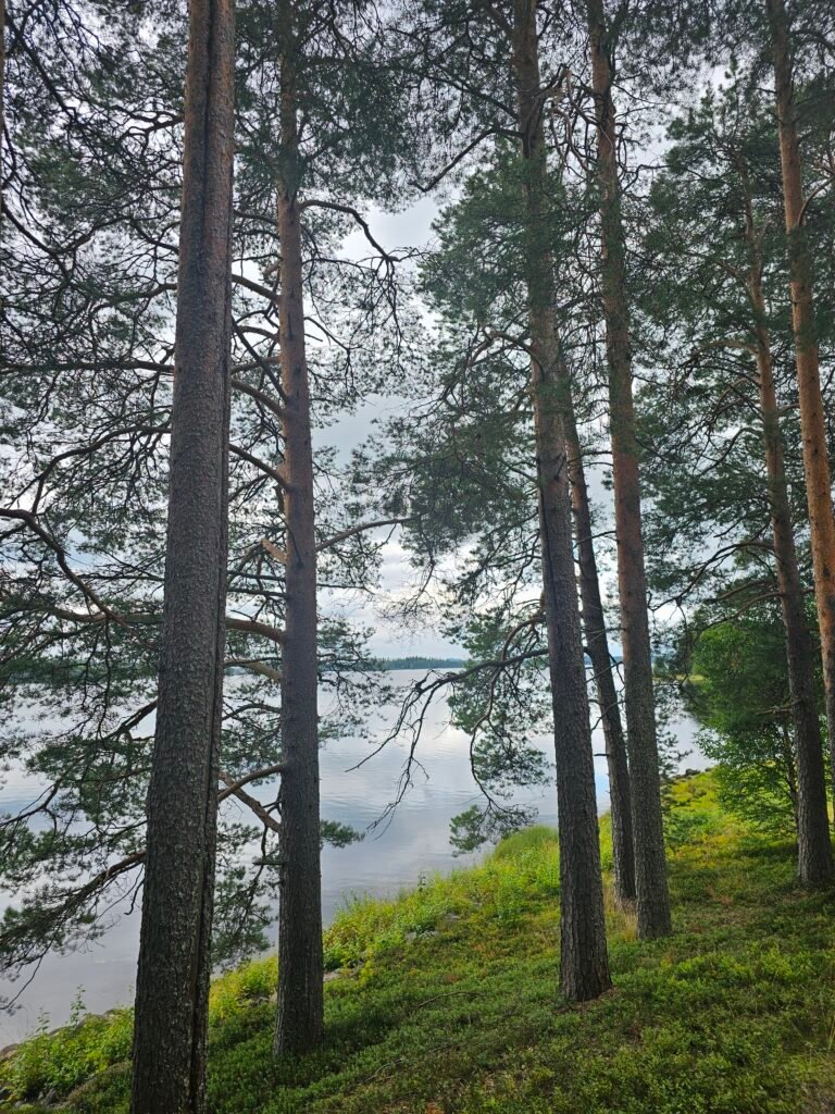 What We Love About Finland: Our Life After Moving From Dubai 15 20260816 110833