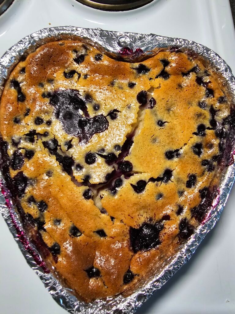 Simple Blueberry Cheesecake Recipe 18 20260816 153730