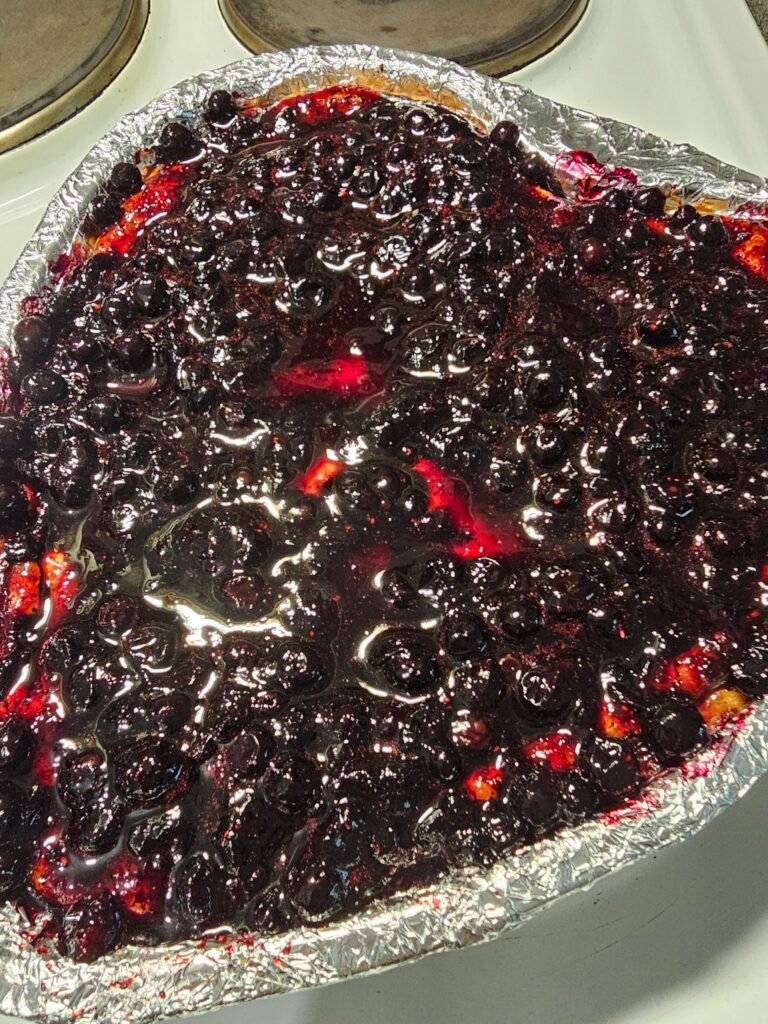 Simple Blueberry Cheesecake Recipe 19 20260816 171536