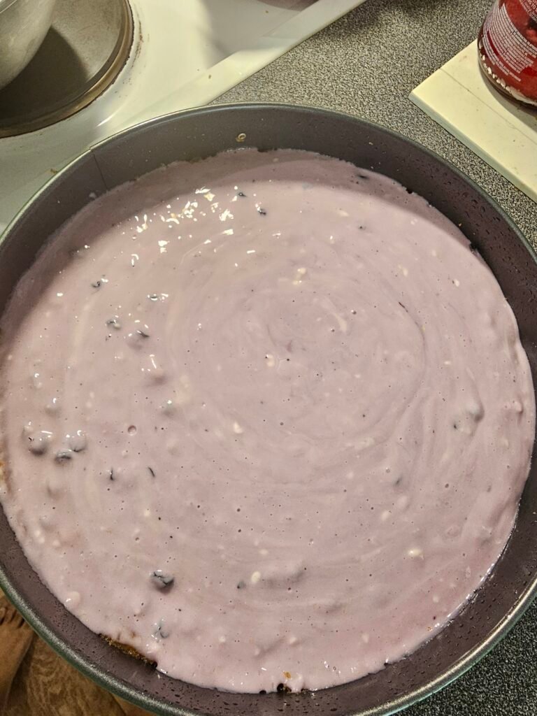 Simple Blueberry Cheesecake Recipe 14 20260821 132450