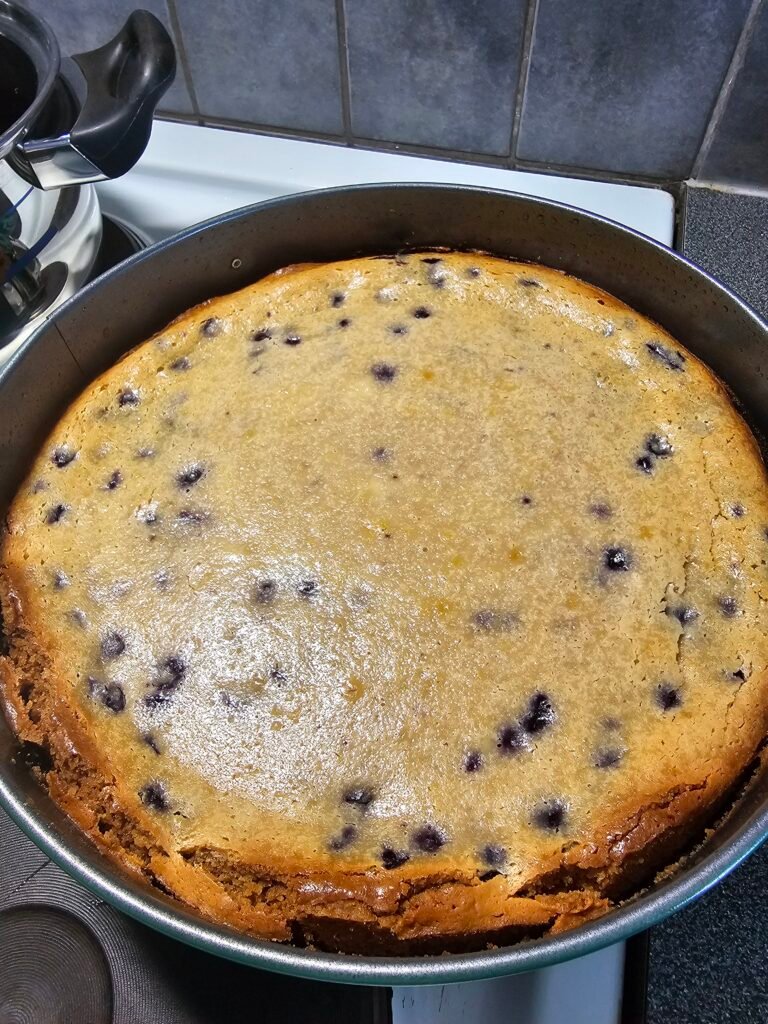 Simple Blueberry Cheesecake Recipe 17 20260821 155642