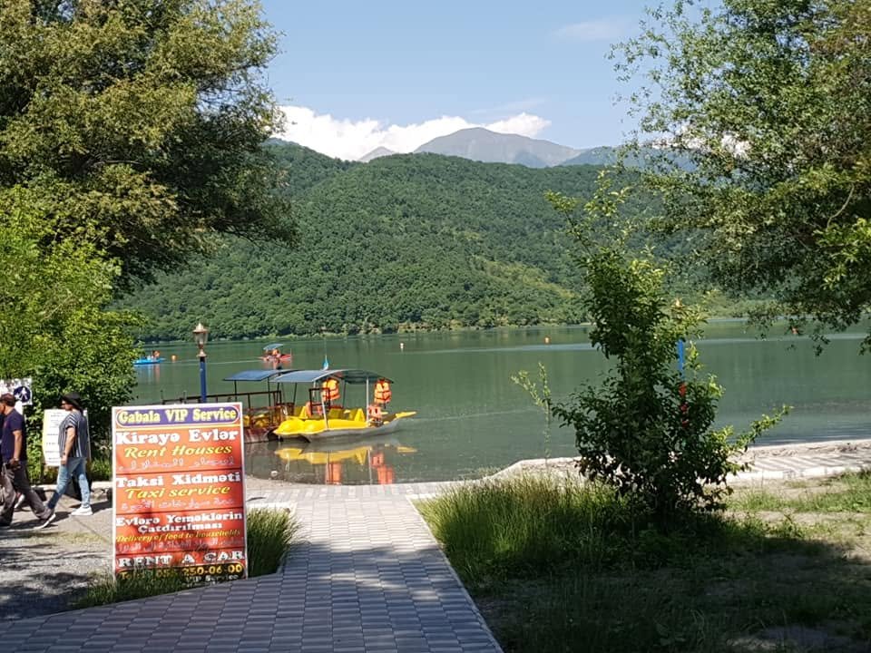 65437909 2660234550662680 5680202645344616448 n