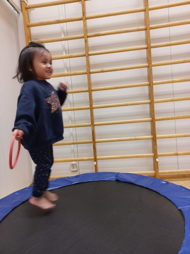 IMG 20241118 160207