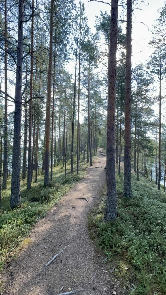 Places to Visit in Kuhmo: Exploring the Beautiful Kalevala Area 19 Messenger creation 7A00B449 E101 4673 9934 08443D8CEAF9