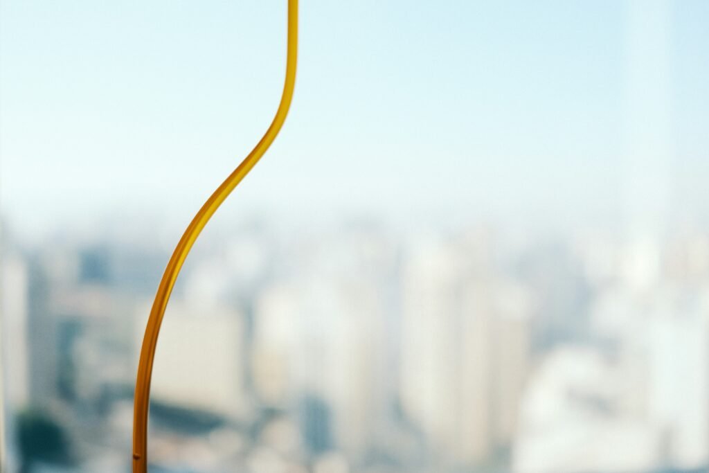 camila mofsovich 46Rd5c15QXA unsplash