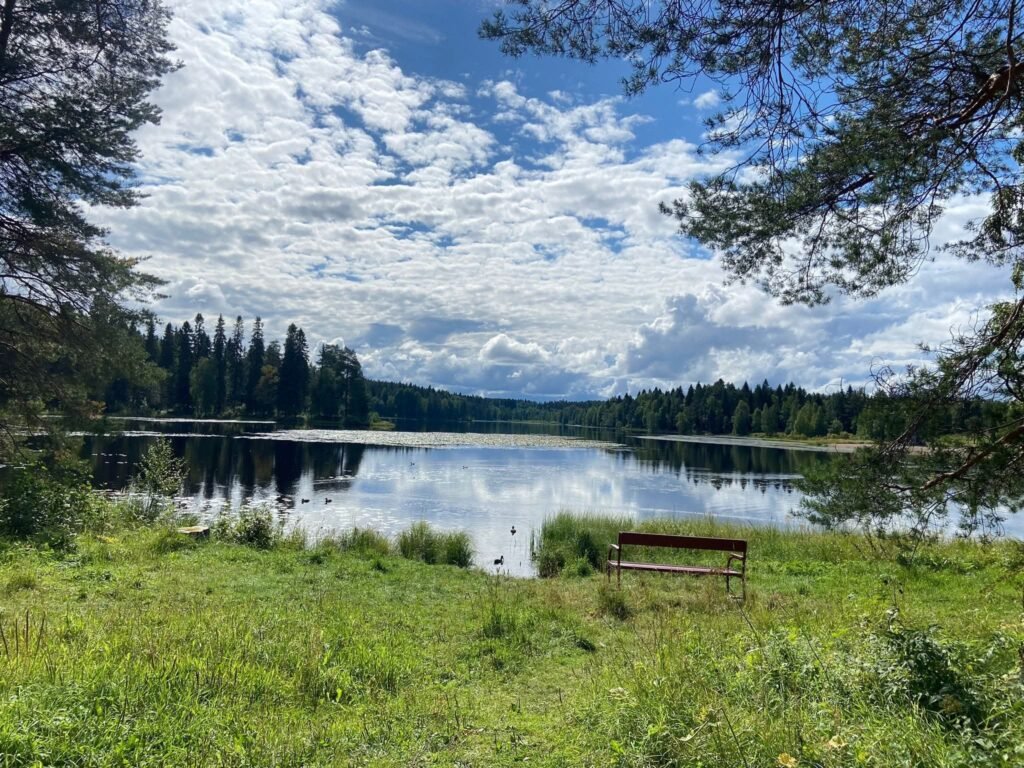 How We Actually Got to Finland: Our Recruitment and Residence Permit Journey 30 FB IMG 1788255765462