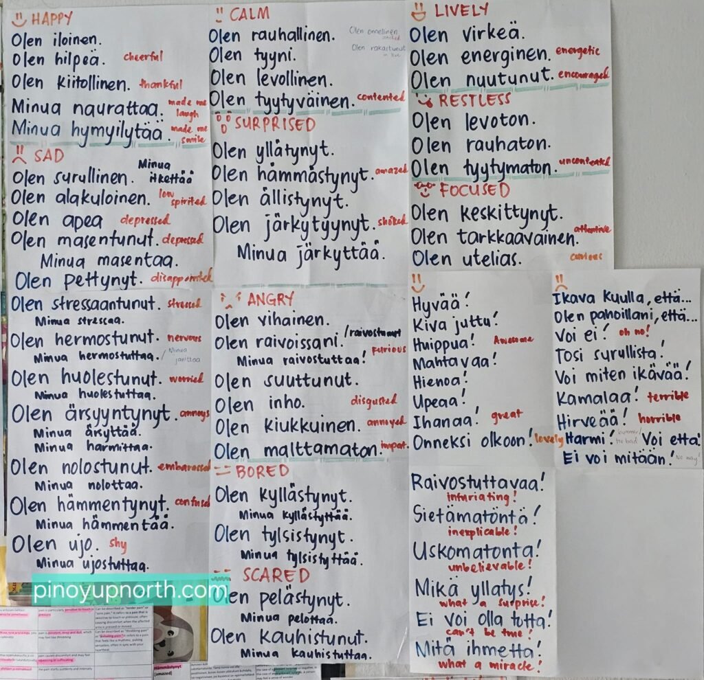 My Finnish Study Notes: Grammar, Vocabulary & Everyday Finnish 2 ddddddd