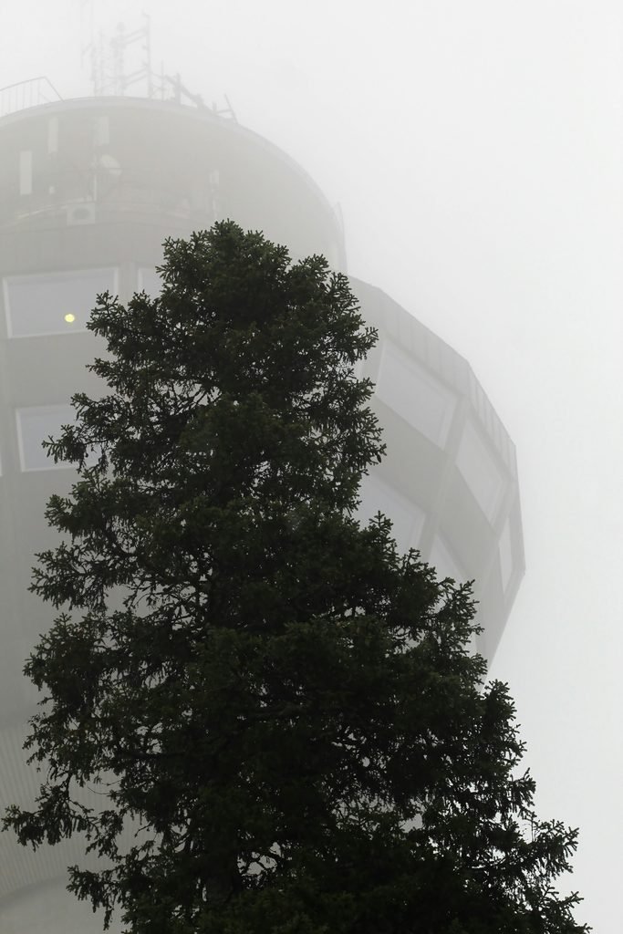 Visiting Puijo Tower in Kuopio, Finland: Our Family Experience 12 anne nygard 2Zq1g UmPTs unsplash