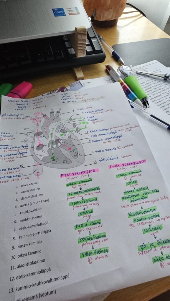 From Filipino Nurse to Finnish Sairaanhoitaja: My Journey to Becoming a Registered Nurse in Finland 7 wwwwwww